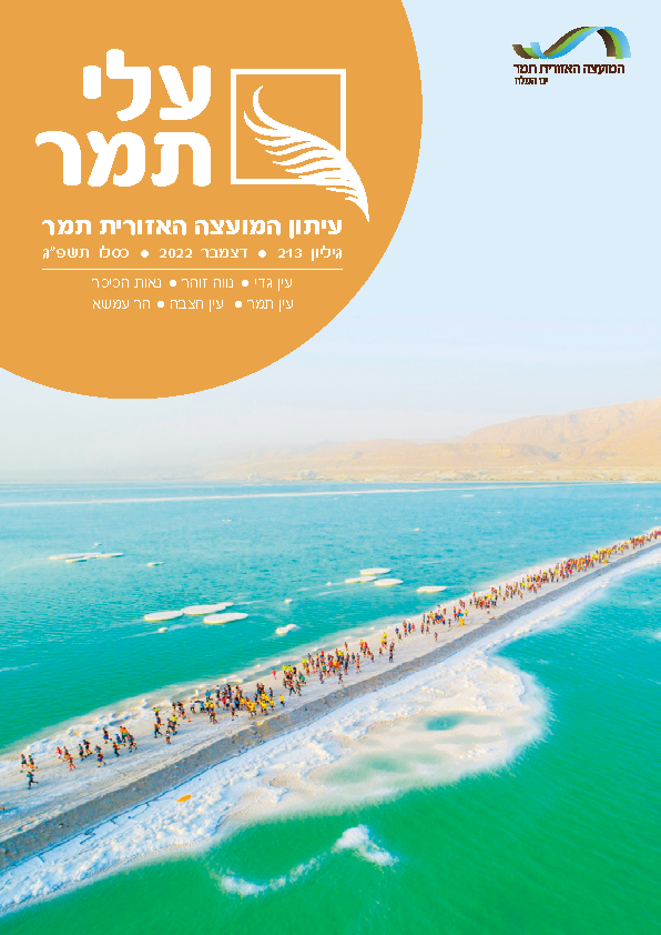 עלי תמר גליון חנוכה 22