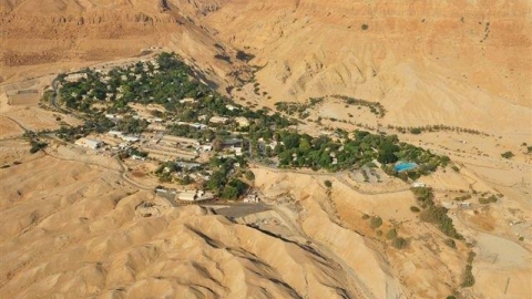 עין גדי תמונה מלמעלה