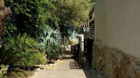 נווה זוהר בין הבתים