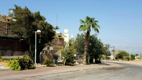 נווה זוהר בתים ועצי דקל