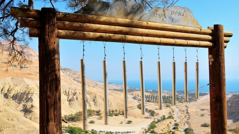 עין גדי קישוט גינה על הנוף של ים המלח