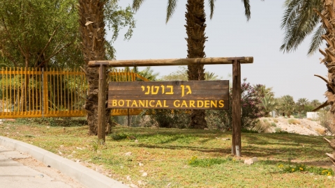 עין גדי שלט גן בוטני