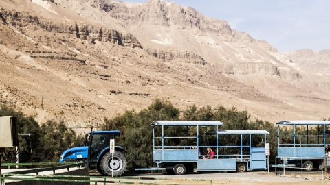 טרקטור עם עגלה במתחם חמי עין גדי