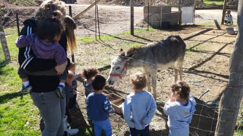 ילדים והורים מחוץ לגדר מסכלים על חמור