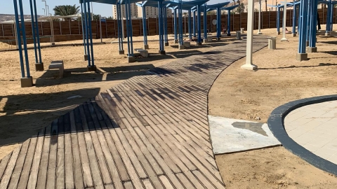 נקיון החוף שטיפת שבילי עצים