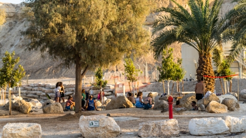 פארק נחל אמציהו אנשים יושבים בצל התמרים בפארק