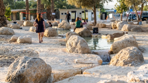 פארק נחל אמציהו שכשויות המים