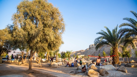 פארק נחל אמציהו מראה כללי, עצים ואבנים