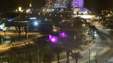 מאירים את המדינה בסגול מבנה ציבור בעין בוקק.jpeg