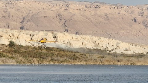 IMG-20240306-WA0005.jpg