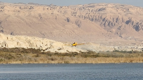 IMG-20240306-WA0009.jpg